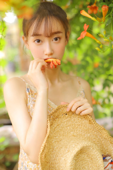 太太们